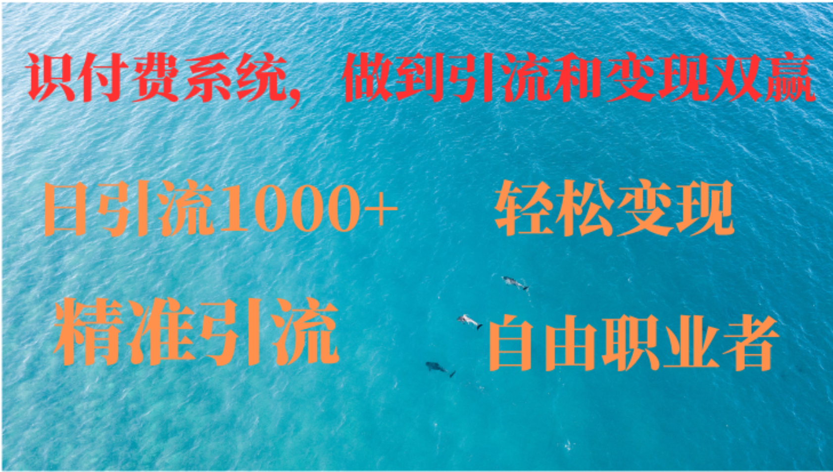 如何搭建自己的知识付费系统，做到引流跟变现双赢