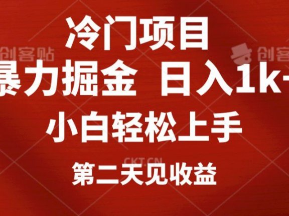 冷门项目,靠一款软件日入1000+暴力掘金小白轻松上手,第二天见收益